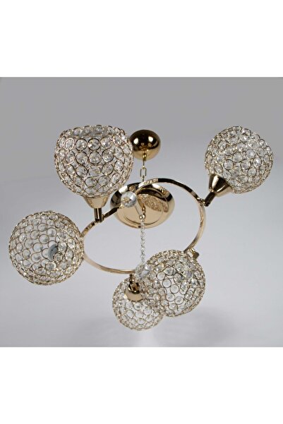 Mutlu Avize Mavsallı Oturma Odası,genç Odası,yatak Odası,mutfak,odası 5 Li