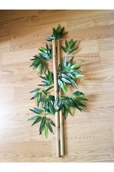 YEŞİLADA 2 Adet Bambu Ağaç 1 Metre Boyunda Kalın Gövdeli Bamboo Ağaç Çiçek