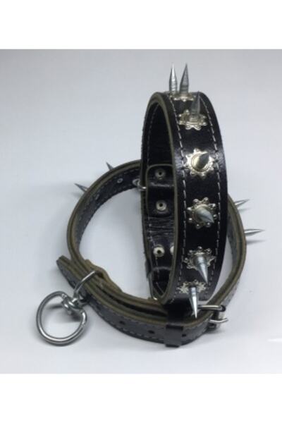 Kopek Tasmasi Modelleri Ve Fiyatlari Trendyol