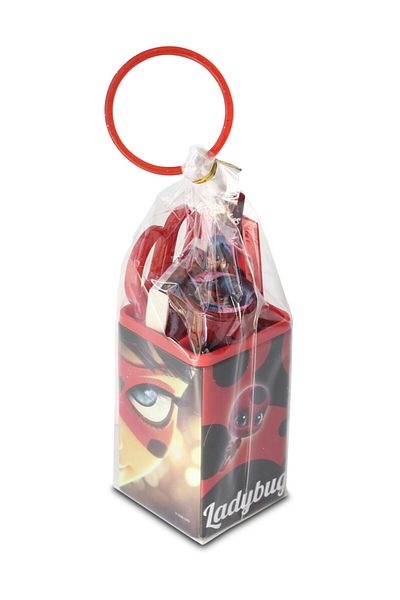 Dolphin Ladybug Stationery Set Lb-2986