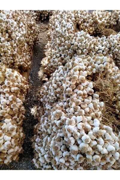 Genel Markalar Doğal Kastamonu Taşköprü Sarımsak 2 Kg Orta boy Yerli Üretim Yerli Tohum