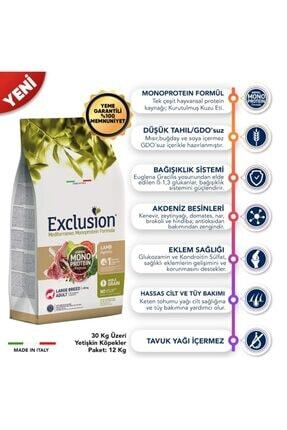Exclusion Monoprotein Dusuk Tahilli Kuzu Etli Ve Narli Buyuk Irk Yetiskin Kopek Mamasi 12 Kg Fiyati Yorumlari Trendyol