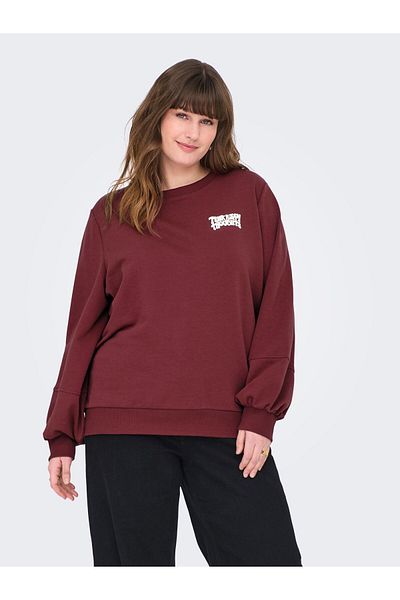 Only Carmakoma Sweatshirt CARKAVIRA Sweatshirt