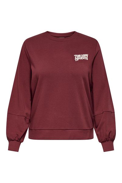 Only Carmakoma Sweatshirt CARKAVIRA Sweatshirt