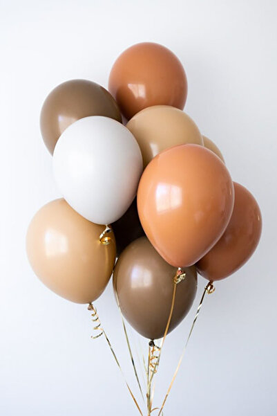 party world Pastel Retro Kahverengi & Krem Tonları Balon Seti – 15’li
