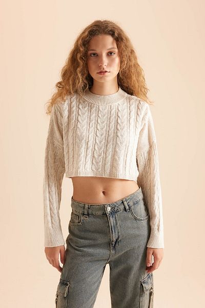 DeFacto Crew Neck Knitwear Sweater - Coool Regular Fit T4518Azns