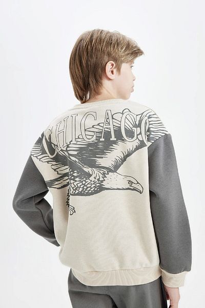 DeFacto Boy's Oversize Wide Fit Crew Neck Back Printed Thick Sweatshirt C9808A824Wn