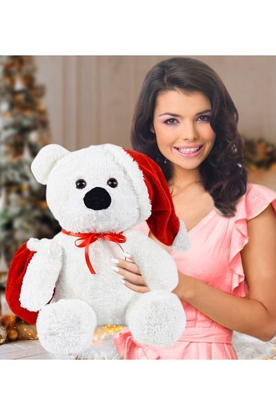 Pandamkee Pandanke 55 Cm Santa Claus Teddy Bear (100% Domestic)