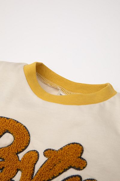 DeFacto Baby Boy Crew Neck Printed Color Block Long Sleeve T-Shirt D4468A524Au