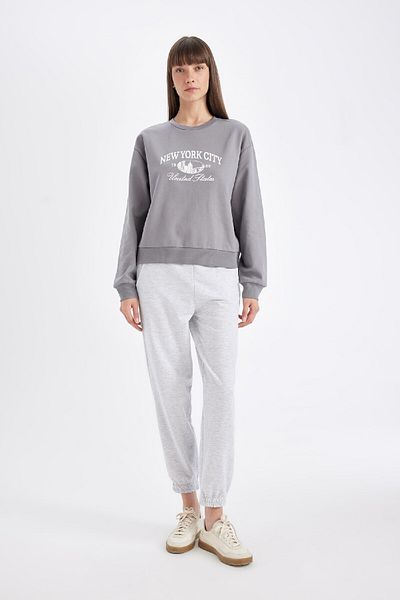 DeFacto Bedrucktes, dünnes Sweatshirt mit normaler Passform und Rundhalsausschnitt D5929AX24AU