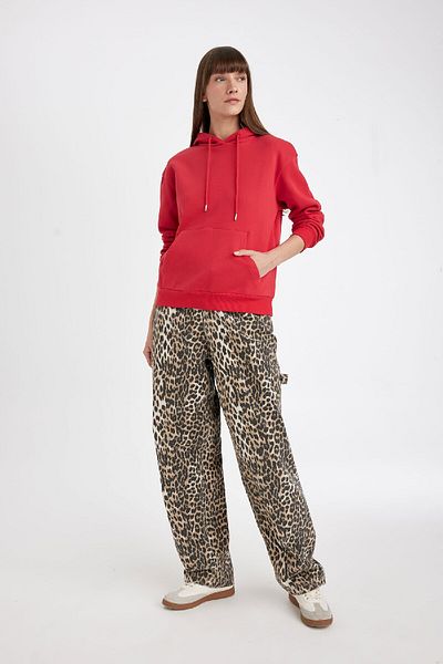 DeFacto Thick and Kangaroo Pocket Relax Fit Hooded Sweatshirt - W1240Az24Wn