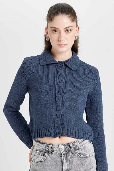DeFacto Basic Knitwear Polo Collar Cardigan - Regular Fit, Flat Buttons D5395Ax24Au