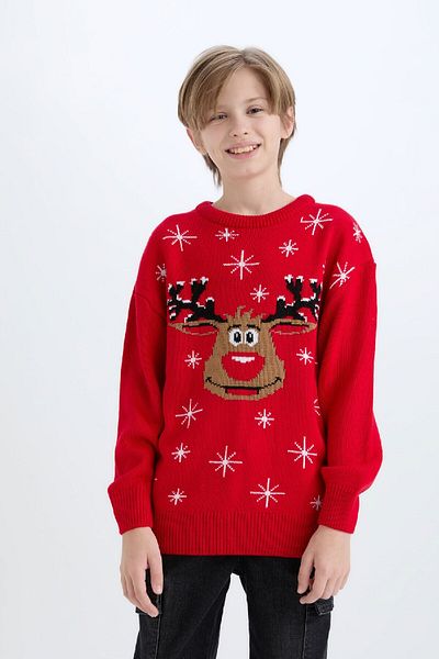DeFacto Boy's Christmas Themed Crew Neck Knitwear Sweater D5991A824Cw
