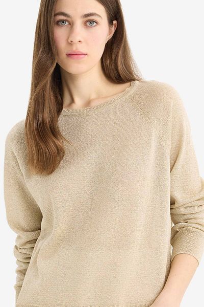 DeFacto Regular Fit Crew Neck Crew Neck Knitwear Sweater C6818Ax25Sp