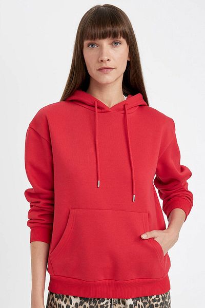 DeFacto Thick and Kangaroo Pocket Relax Fit Hooded Sweatshirt - W1240Az24Wn