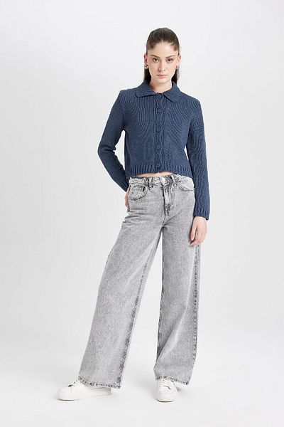 DeFacto Basic Knitwear Polo Collar Cardigan - Regular Fit, Flat Buttons D5395Ax24Au