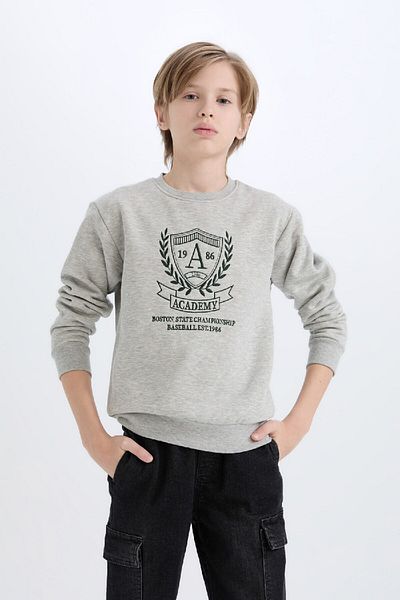 DeFacto Boy's Crew Neck Printed Soft Furry Inside Sweatshirt D6223A824Cw