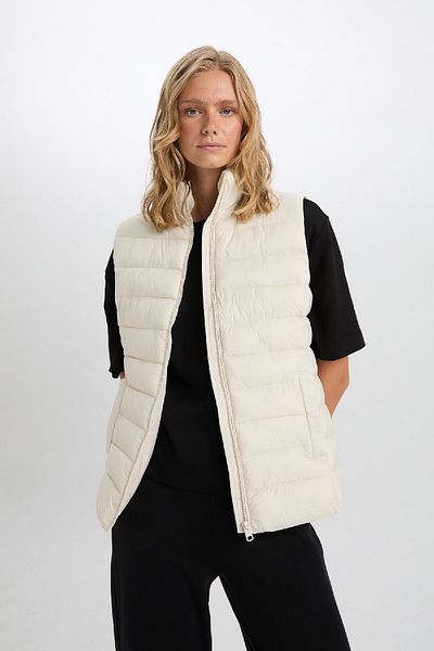 DeFacto Seasonal Puffer Vest with Stand Collar and Quilted Zipper - A0975Ax25Sp