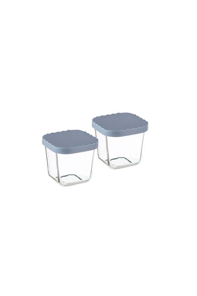 Dania 2-Piece Glass Food Storage Container Set with Microwaveable Plastic Lid
