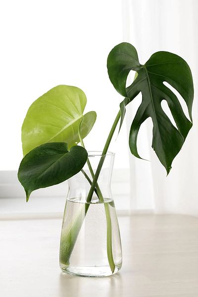 EA Home Concept Διακοσμητικό Γυάλινο Βάζο Vera 20 cm