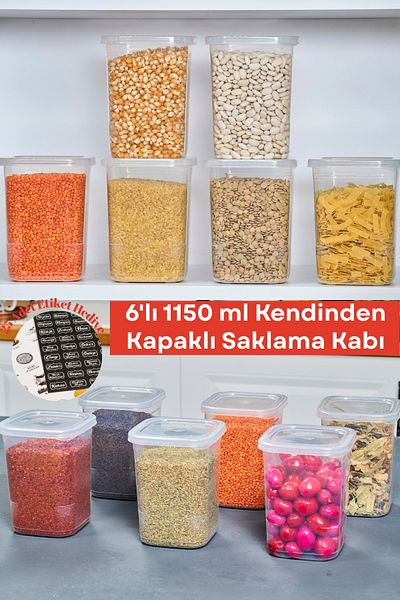 welcomein 1,15 Lt 6 Books 12 Pieces Town Order Box Set with Transparency Label