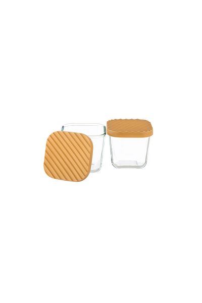 Dania 2-Piece Glass Food Storage Container Set with Microwaveable Plastic Lid