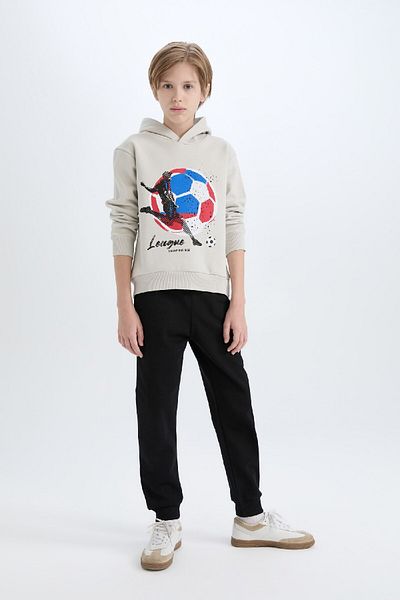 DeFacto 2-Piece Set for Boy - Thick Hooded Printed Sweatshirt and Elastic Sweatpants D6870A824Cw