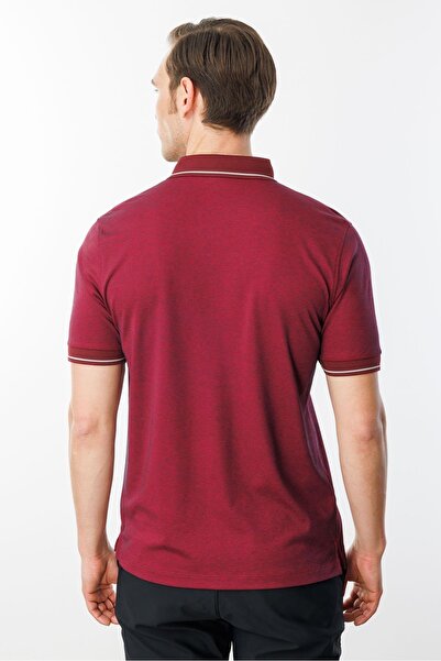 Desen Triko Ανδρικό μπλουζάκι Polo Collar and Sleeve Knitwear Claret Red