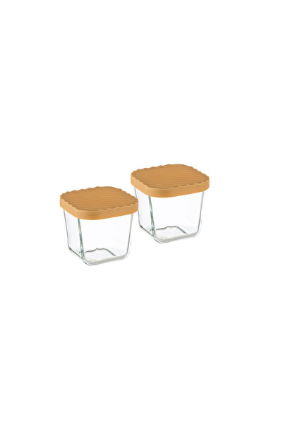 Dania 2-Piece Glass Food Storage Container Set with Microwaveable Plastic Lid
