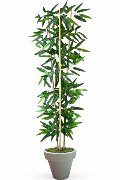 ERHAN FLOWERS ÇİÇEK & DEKORASYON Dekoratif Yapay Yapraklı 3 Gövde Bambu Ağacı 100 cm Bambu beyaz plastık saksı