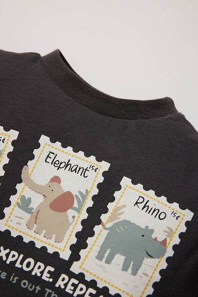 DeFacto Baby Boy Crew Neck Animal Print Long Sleeve T-Shirt D9586A525Sp