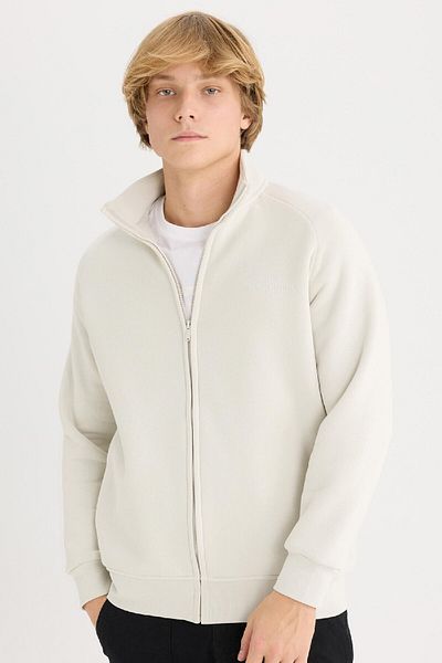 DeFacto Boxy Fit Stehkragen bedrucktes Sweatshirt mit weichem Federn und Reißverschluss E1367ax25sp