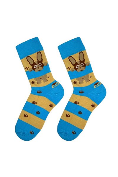 Çorap Kurdu Πολύχρωμες κάλτσες Unisex με σχέδια