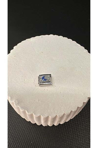 Mutenaura Stainless Steel Nomination Charm