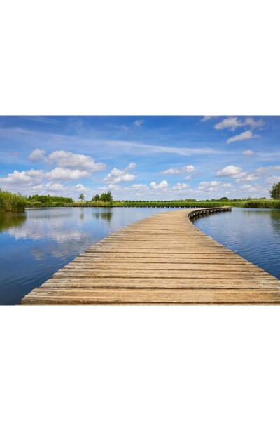 Zumzeria Καμβάς Tablou Όμορφος καλοκαιρινός περίπατος στη λίμνη στο πάρκο, 80...