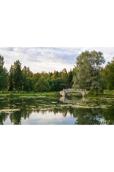 Zumzeria Tablou Canvas Lac Natural Reflectarea unui pod vechi și copaci verzi, 80x50cm