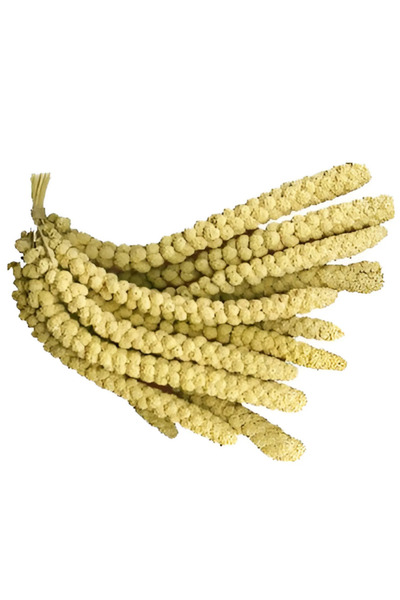 Eslem Tohumculuk Dal Darı-doğal Kızıl Daldarı Kuş Yemi 100 Gr