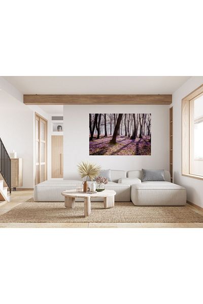 Zumzeria Tablou Canvas Flori de șofran violet sălbatic în pădure în timpul primăverii, 80x50cm