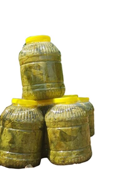 Ege Yöresel 2023 Mahsukudur Manisa Turgutlu Sultaniye Salamura Asma Yaprak Yeni Mahsül