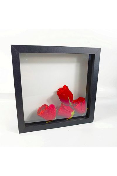 Hometaş Ev Ürünleri 20X20 Deep Memory Frame Rose Box Prompt Flower Frame
