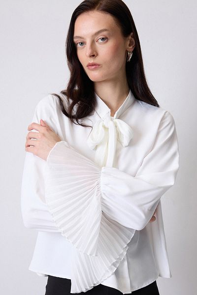 Touché Privé Chiffon Pleated Scarf Collar Bluz