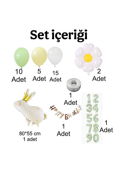 CUGY Girl Boy Child Rabbit Daisy Concept 3 Year Old Birthday Party Celebration Set
