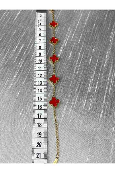 Brethils Stainless Steel Bracelet Double Sided 17+4 cm Guaranteed Tarnish Free in Gift Package