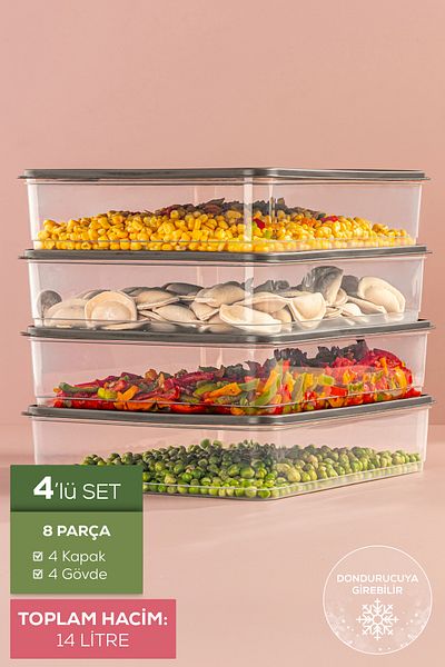 Vienev Gray 4-Piece 3.5 Ltr Refrigerator Organizer Microwave Suitable Freezer Storage Container