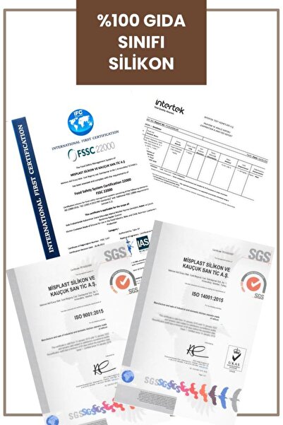 Silicolife Eğimli Mama Kasesi, Vakum Tabanlı Bebek Çocuk Eğimli Mama Tabağı Gıda Sertifikalı