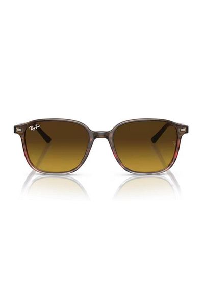 Ray-Ban Sunglasses Rb2193 53 138085