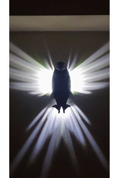 CosmosCraft Siyah Renk Pilli Kartal Gece Lambası,pla