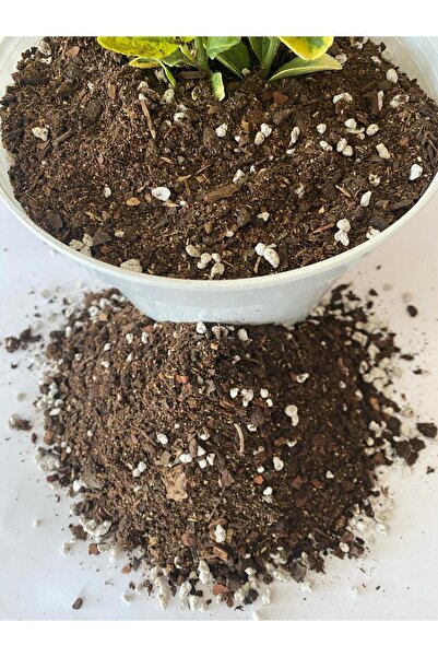 Erdönmez Peyzaj - Perlit Karışımlı Orman Torfu ( 3 Litre ) İç Mekan Dış Mekan...
