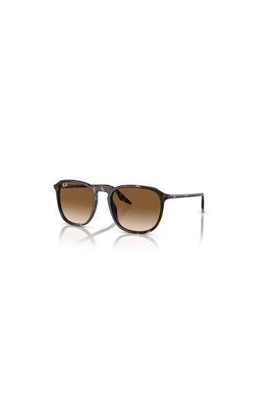 Ray-Ban 0Rb2203 902-51 55 0Rb2203 902-51 55