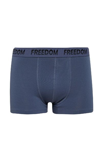 DeFacto Regular Fit Boxer 3 συσκευασιών E2922ax25sp